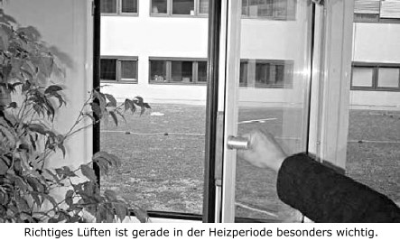 Fenster